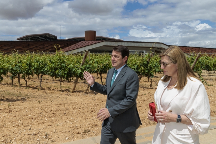 Foto 1 - Mañueco traslada el orgullo por el sector del vino de Castilla y León que apuesta por la calidad