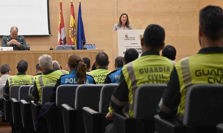 La consejera en su intervención en la jornada celebrada hoy en Valladolid. /Jta.