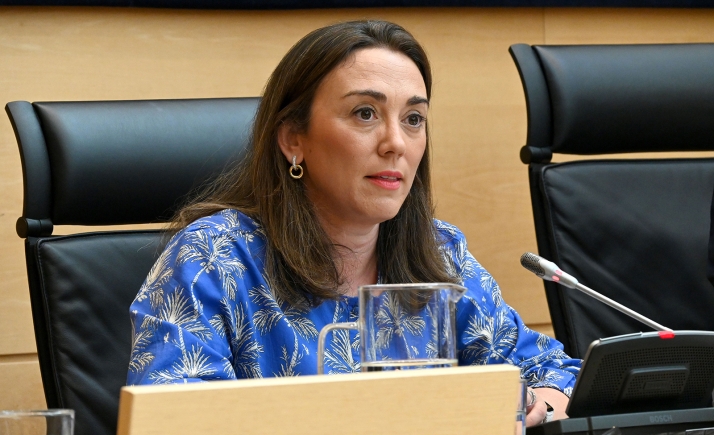 La consejera de Movilidad y Transformación Digital, María González Corral, durante su comparecencia este martes. /Jta.