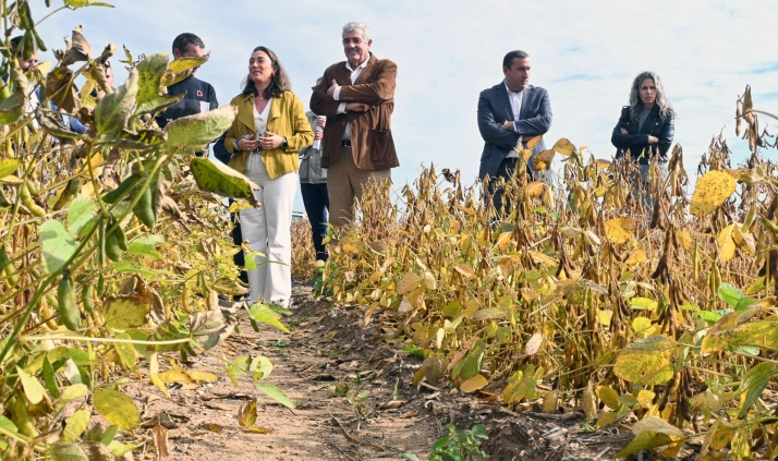 Imagen de la visita oficial a los campos de ensayo en Salamanca. /Jta.