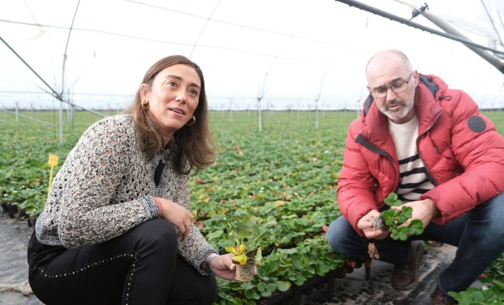 La consejera, durante la jornada técnica sobre el cultivo de la fresa en Castilla y León. /Jta