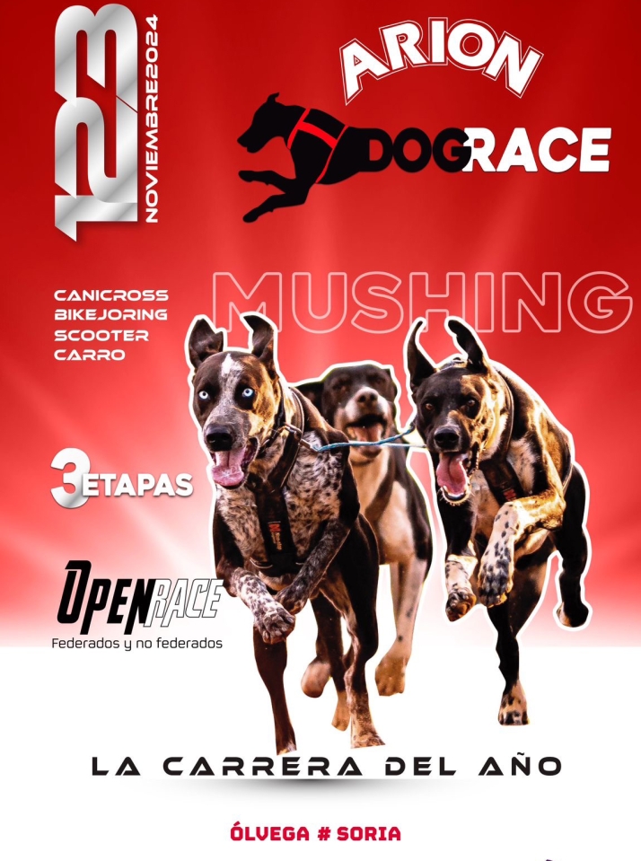 Vuelve, para Todos los Santos, la competici&oacute;n de mushing a &Oacute;lvega  | Imagen 1