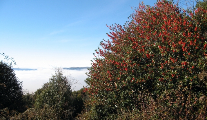 Cuatro rincones frescos en Soria para escapar del calor | Imagen 4