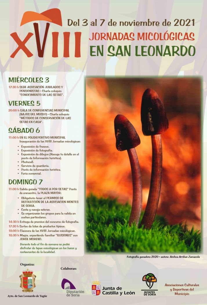 Las Jornadas micol&oacute;gicas de San Leonardo, del 3 al 7 de noviembre | Imagen 1
