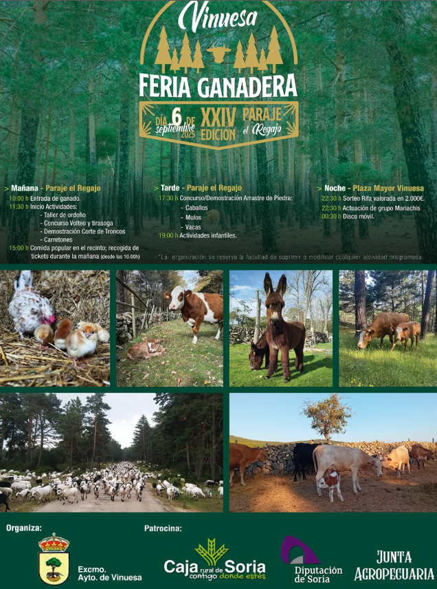 La XXIV Feria Ganadera llega a Vinuesa con un sinf&iacute;n de actividades: talleres de orde&ntilde;o, exhibiciones de corte de troncos y mucho m&aacute;s | Imagen 1