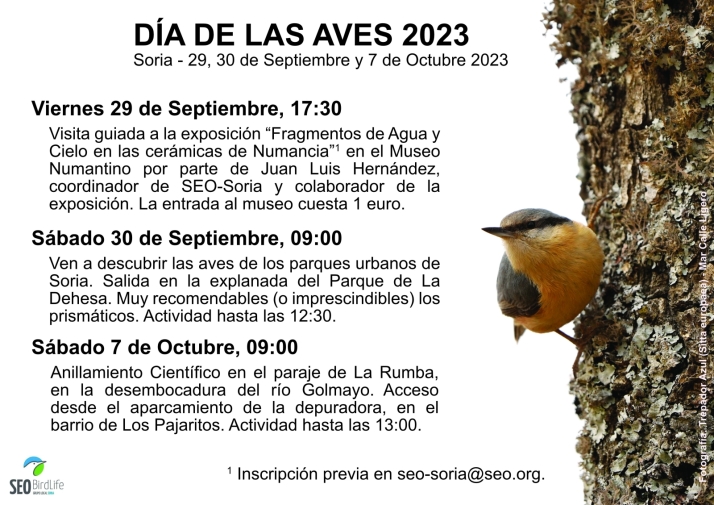 Este fin de semana, D&iacute;a de las Aves en Soria | Imagen 1