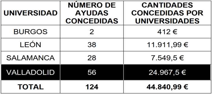 El Bocyl publica las 124 becas concedidas a los universitarios de la Castilla y Le&oacute;n matriculados en una lengua extranjera | Imagen 1