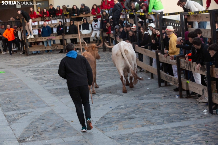 Encierro por San Miguel en Ágreda