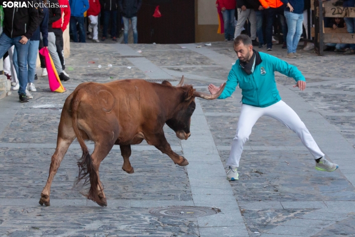 Encierro por San Miguel en Ágreda