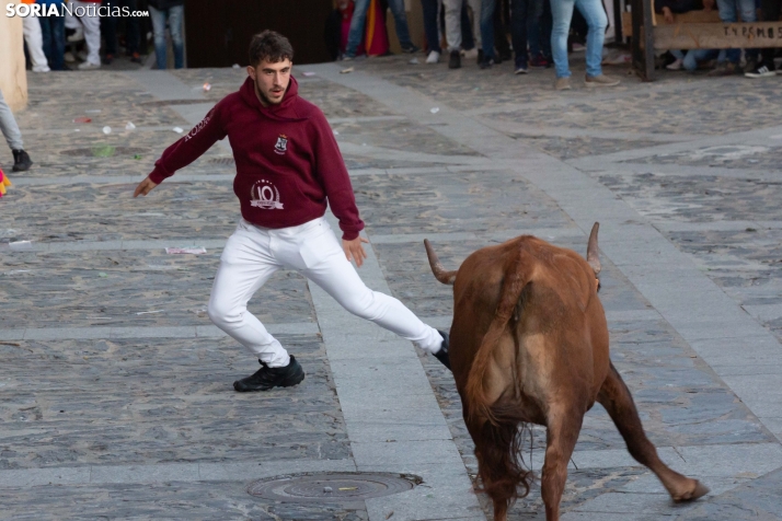 Encierro por San Miguel en Ágreda