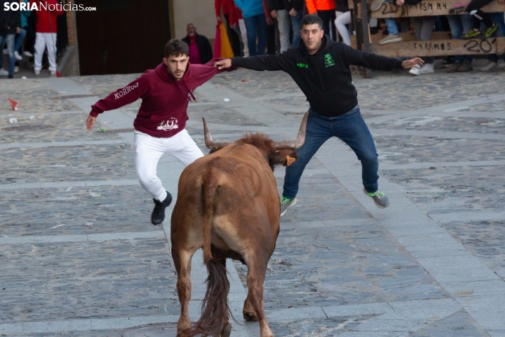 Encierro por San Miguel en Ágreda