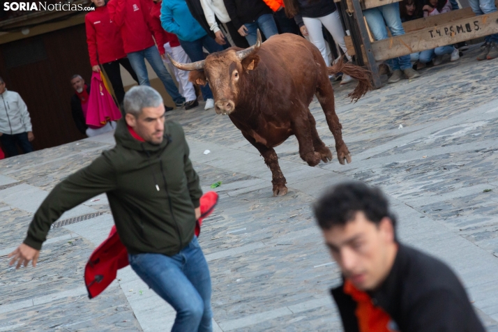 Encierro por San Miguel en Ágreda