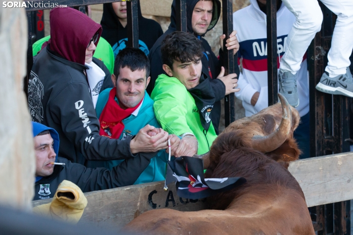 Encierro por San Miguel en Ágreda