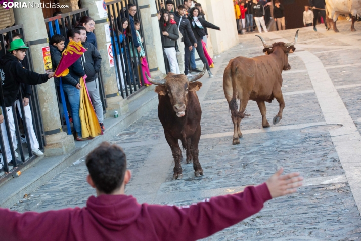 Encierro por San Miguel en Ágreda