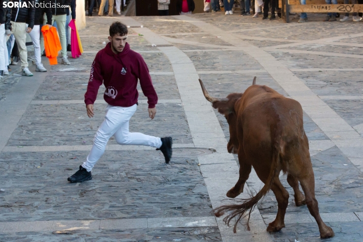 Encierro por San Miguel en Ágreda