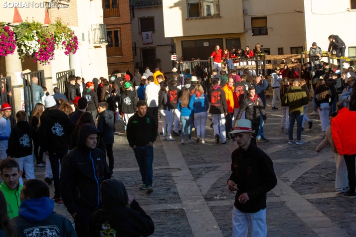 Encierro por San Miguel en Ágreda