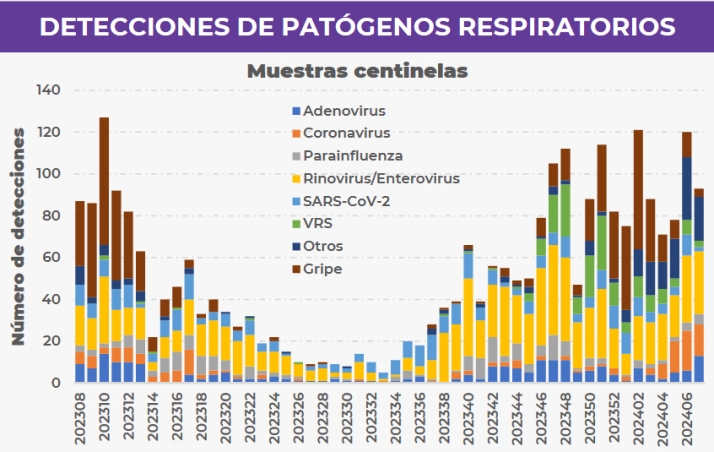 Desaparece la tendencia de repunte en las infecciones respiratorias agudas para Castilla y Le&oacute;n | Imagen 1