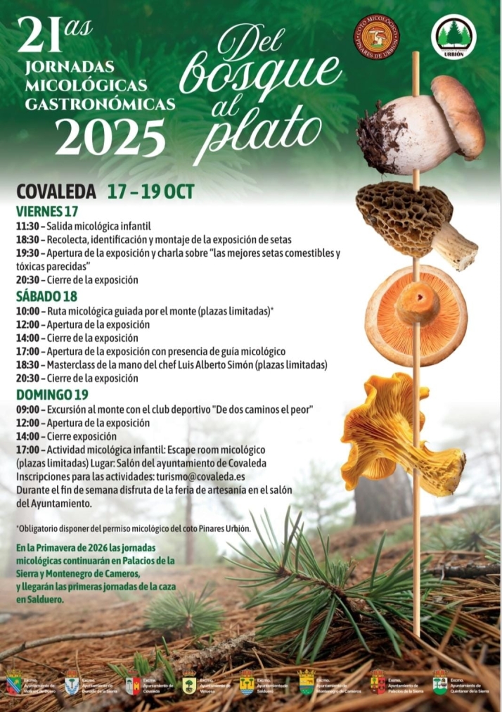 Una novedosa feria de artesanía para reforzar las jornadas micológicas de Covaleda | Imagen 2