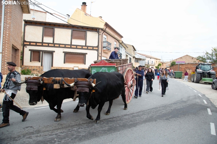 Jornadas de la Vendimia en Langa