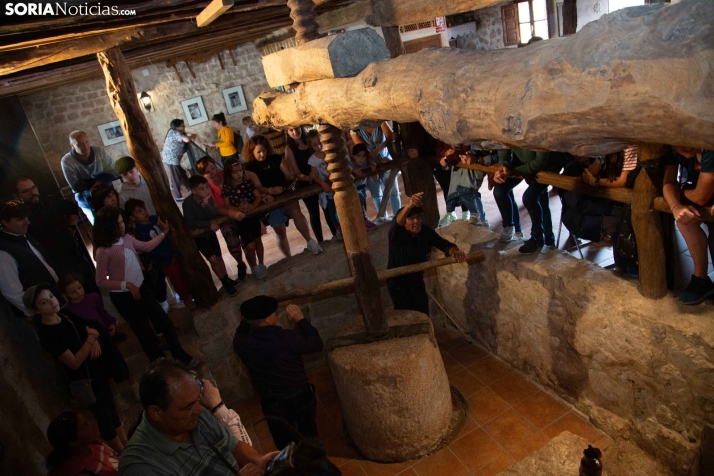 Jornadas de la Vendimia en Langa