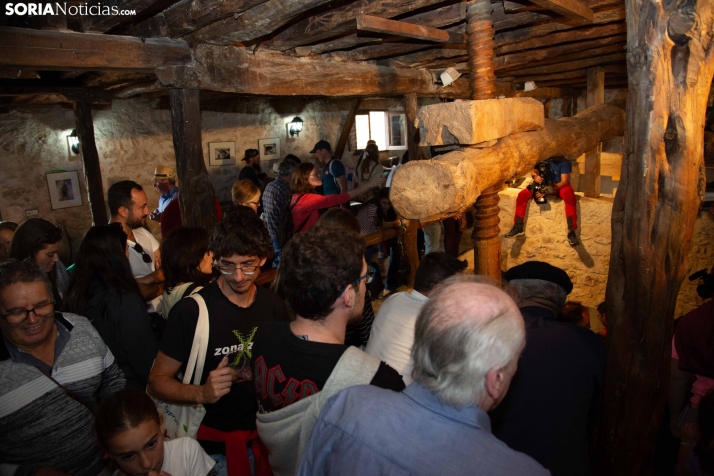 Jornadas de la Vendimia en Langa