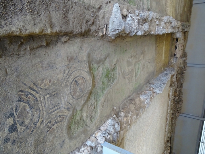 Foto 1 - Adjudicada por 48.000 euros la restauración de un mosaico en la villa romana de las Cuevas de Soria