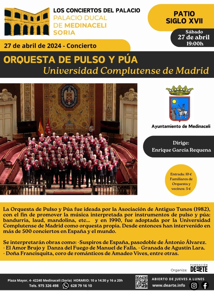 Este s&aacute;bado, gran concierto Pulso y P&uacute;a orquesta de la Complutense en Medinaceli | Imagen 2