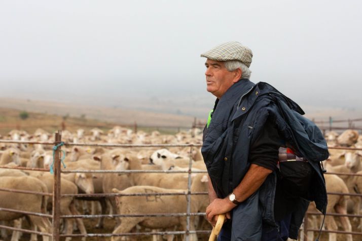 Los &uacute;ltimos pastores trashumantes de Soria | Imagen 3