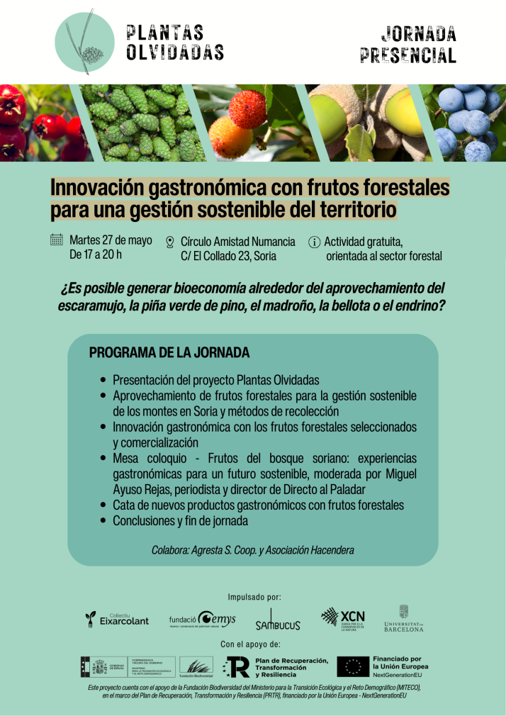 &iquest;Galletas de bellota, k&eacute;tchup de endrino o vinagreta de pi&ntilde;as verdes? Los secretos te los cuentan el 27 | Imagen 1