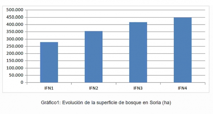 En los &uacute;ltimos 60 a&ntilde;os la provincia de Soria ha aumentado su superficie boscosa en un 60 % | Imagen 1