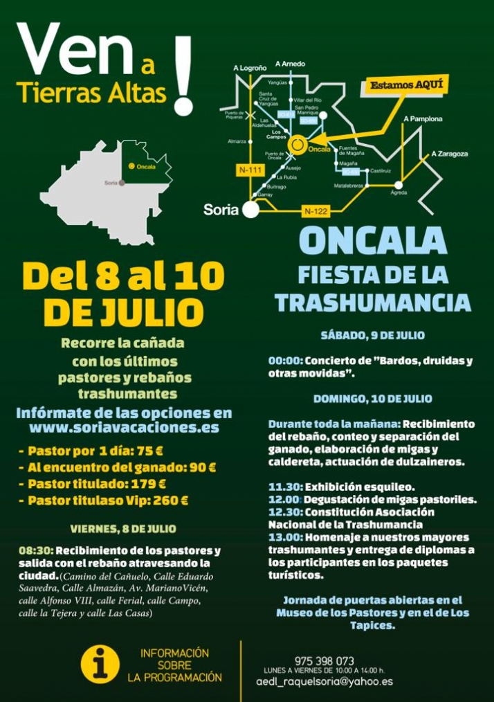 Soria, epicentro de la Trashumancia con 1.000 cabezas y con una jornada festiva en Oncala | Imagen 1
