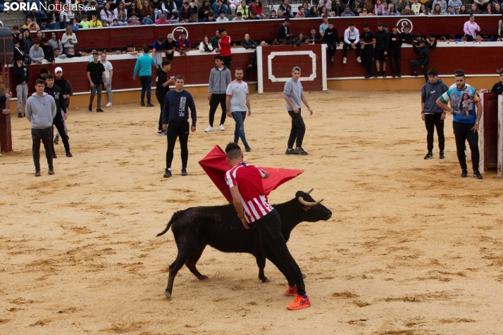 Vaquillas San Saturio