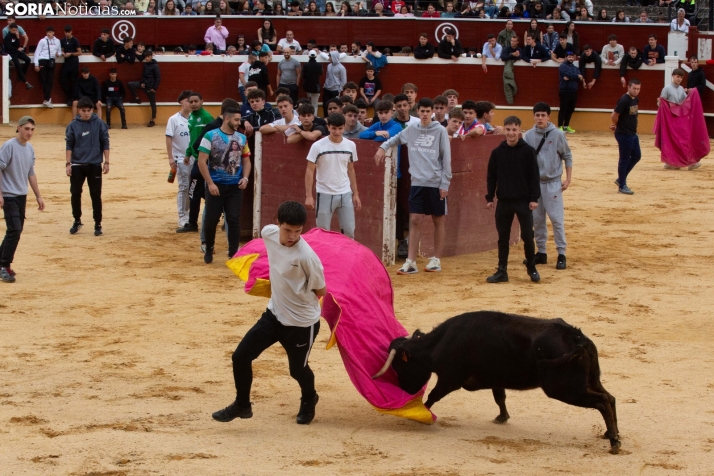 Vaquillas San Saturio