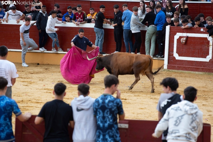 Vaquillas San Saturio