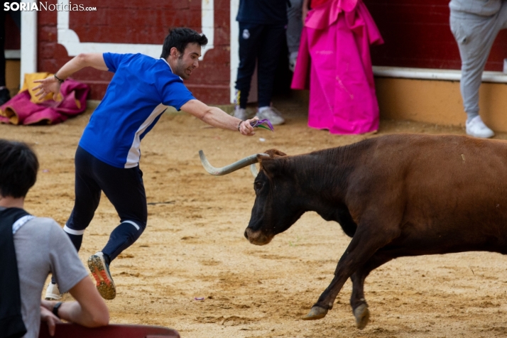 Vaquillas San Saturio