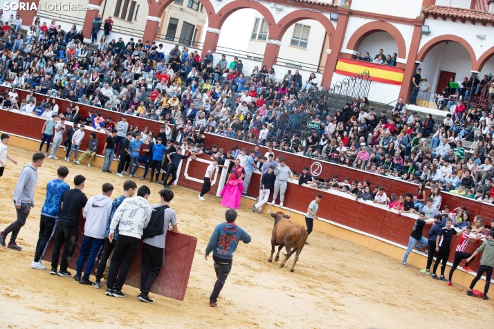 Vaquillas San Saturio