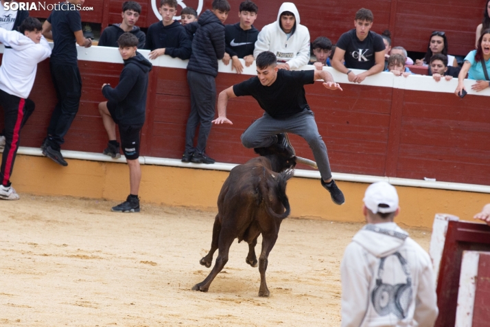 Vaquillas San Saturio