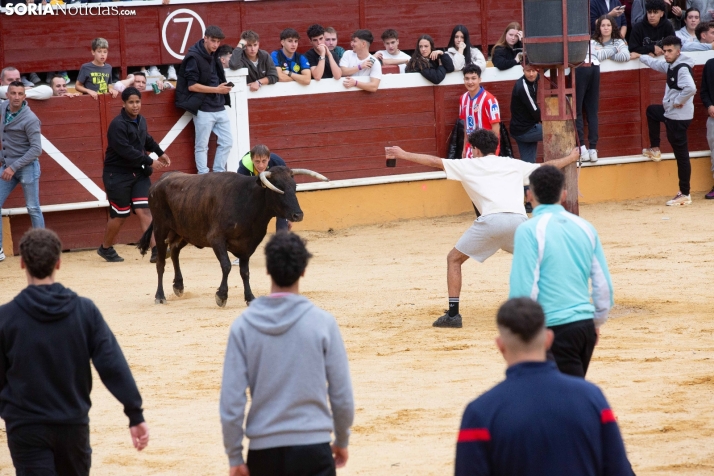 Vaquillas San Saturio