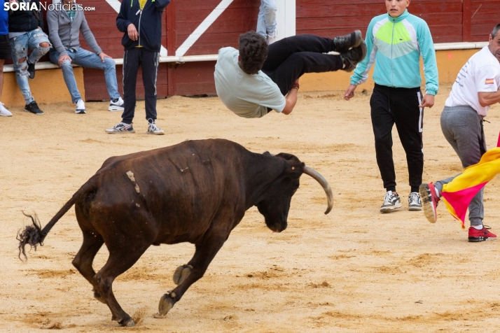 Vaquillas San Saturio