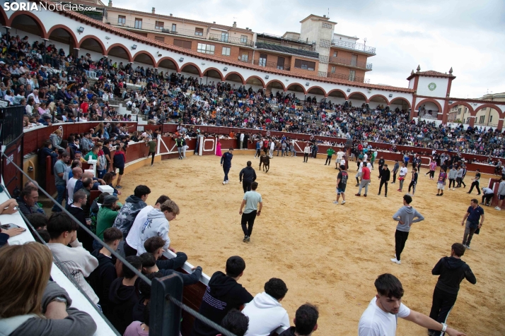 Vaquillas San Saturio