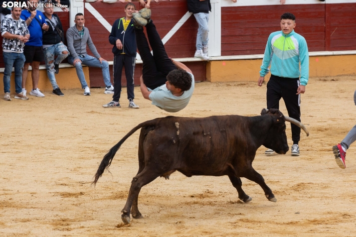 Vaquillas San Saturio