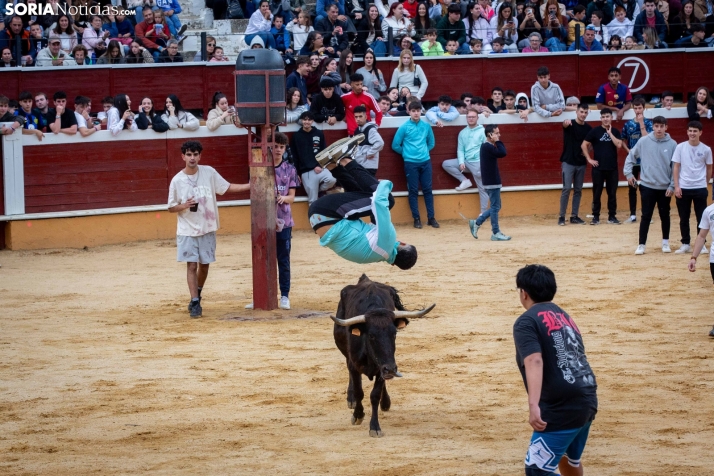 Vaquillas San Saturio