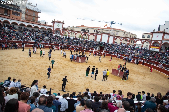 Vaquillas San Saturio