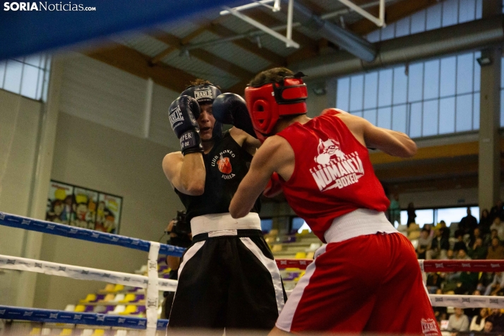 Velada de boxeo de San Saturio 2024