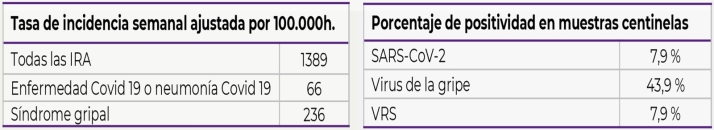 Las muestras hospitalarias positivas de gripe y VRS, a la baja en Castilla y Le&oacute;n | Imagen 2