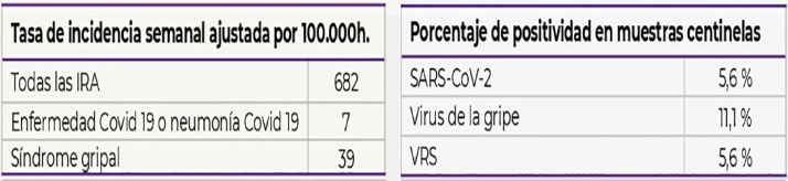 La gripe se sit&uacute;a ya por debajo del nivel epid&eacute;mico en Castilla y Le&oacute;n | Imagen 1