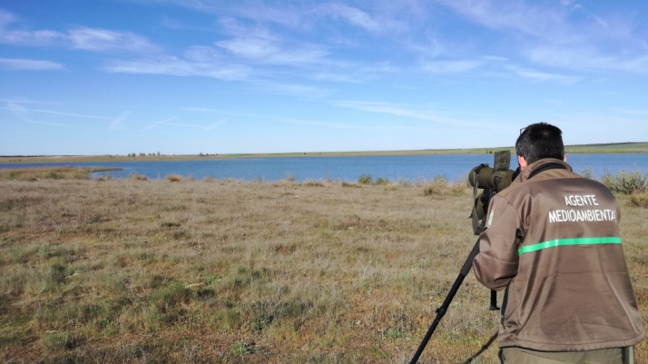 Observación de aves acuáticas.