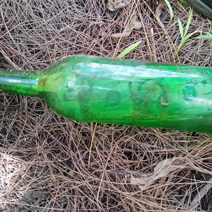 Botella localizada por Eduardo Arancón