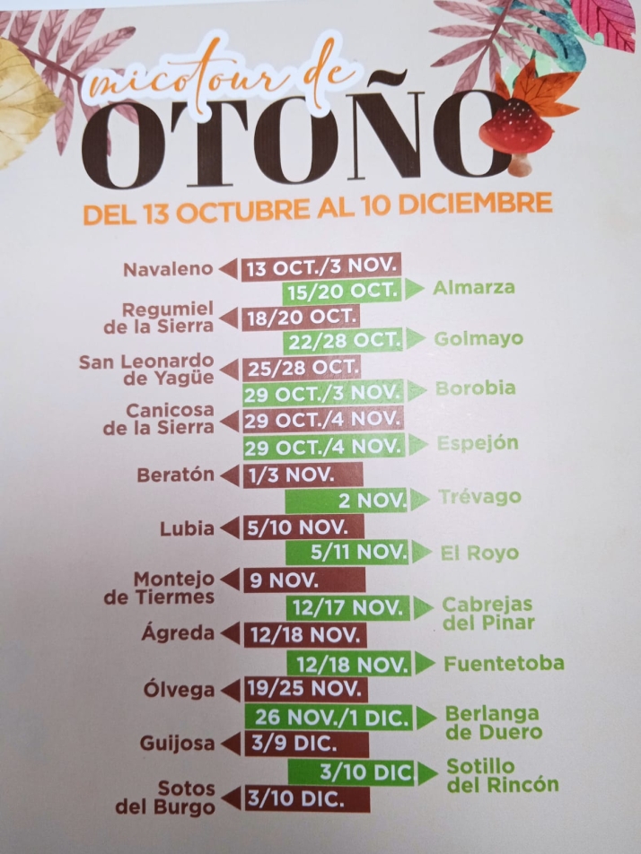 El 'Micotour de Oto&ntilde;o' recorrer&aacute; 21 pueblos sorianos: conoce las fechas y los municipios  | Imagen 1