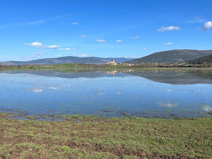 El curioso caso de la laguna de un pueblo de Soria: De estar llena, a ser pasto para vacas | Imagen 1